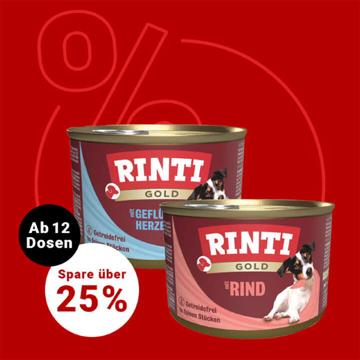 RINTI Gold Hunde Nassfutter 800x800